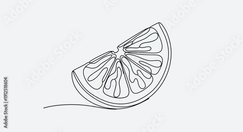 Single line drawing of a fresh citrus fruit slice.