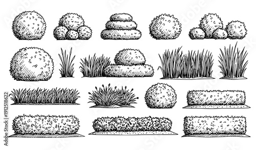 Architectural Ink Landscape Vector Set of Bushes Grass and Lawn Elements Hand Drawn Frontal View on White