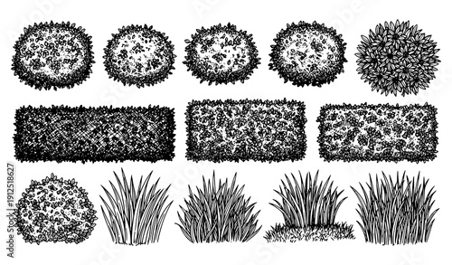 Vintage Architectural Ink Bush and Grass Vector Collection with Crosshatched Lawn Elements Isolated on White