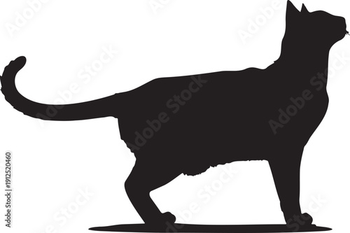 Vector black cat silhouette standing with arched back and curled tail, isolated on a transparent background, ideal for pet shop branding or animal welfare posters.