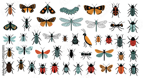Large and diverse collection of insect species containing colorful butterflies, moths, dragonflies, beetles, and ants on a white background.