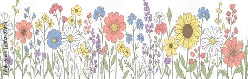 Hand drawn wildflower garden border vector illustration with colorful blooming flowers botanical spring meadow design