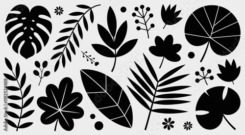 Black and white minimalist botanical leaf collection in silhouette style