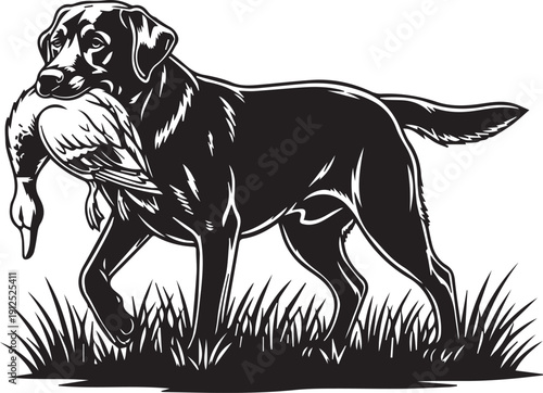 Labrador retriever proudly carrying a caught duck in its mouth Silhouette vector black on a white background