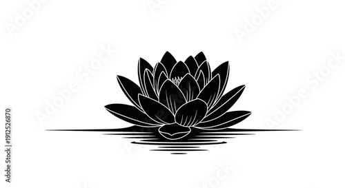 Elegant black and white lotus flower with reflection, symbolizing purity and beauty.