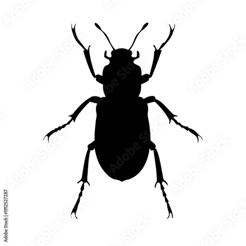 Minimalist Beetle Insect Silhouette Vector Icon