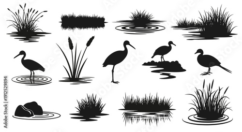 Set of black silhouettes of swamp plants and birds, including reeds, cattails, and various waterfowl, with reflections on water.