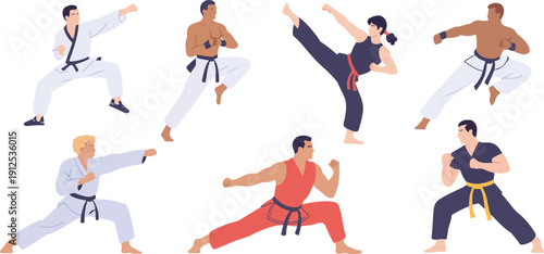 Martial Arts Fighter Vector Set  Karate, Taekwondo, Boxing and Kung Fu Poses