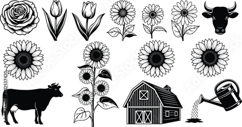 Farm life vector illustrations set, sunflowers and rose flowers, dairy cow silhouettes with rustic barn and watering can garden icons, agriculture.