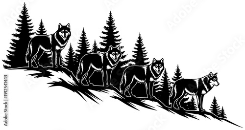 Black and white vector illustration of a wolf pack standing on a mountain ridge among pine trees in a wilderness forest (21 words)