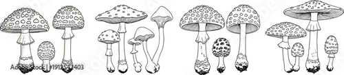 Hand drawn detailed mushroom line art collection isolated on white background botanical vector illustration set