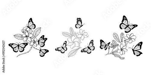 Set of three black and white delicate floral arrangements featuring beautiful butterflies perched on blooming tropical flowers and leaves
