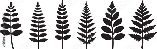 Fern Pinnae Silhouette Botanical Frond Icons