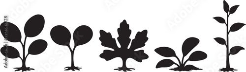 Fényképezés Broadleaf Weed Silhouette Botanical Icons