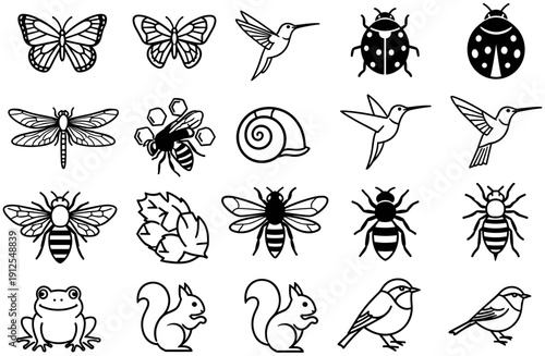Set of black and white line art icons featuring garden insects birds and small animals including butterflies ladybugs hummingbirds bees squirrels and frogs (21 words)