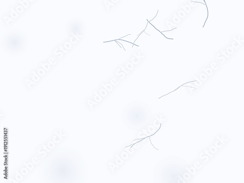 Luxury marble texture pattern with elegant gray veining on seamless white background for premium design