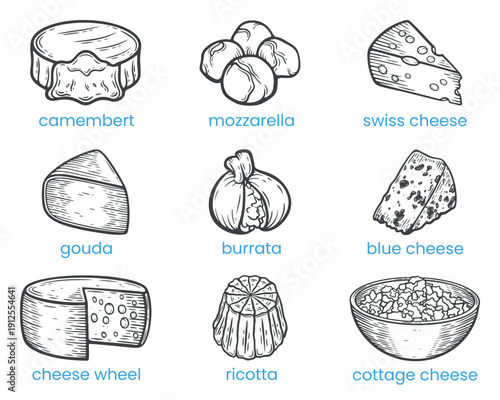 Set of different types of cheese, melted, soft, hard wedges, camembert, gouda, mozarella, burrata, ricotta, wheel, blue with mold, cottage, swiss and italian pieces, engraving isolated