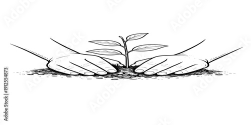 A tiny seedling, planted with care and hope. Today’s small act of love grows into tomorrow’s greener world. vector pro