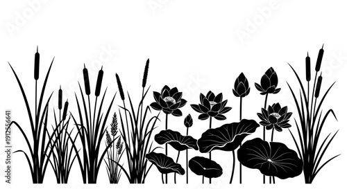 Black silhouettes of cattails and lotus flowers growing in a pond, isolated on a white background.