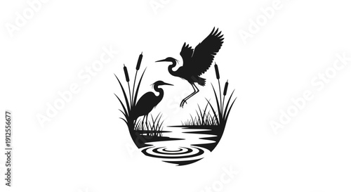 Two elegant herons in a serene wetland environment with reeds and water ripples, black and white vector illustration.