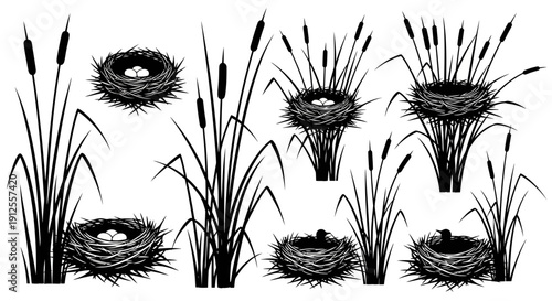 Set of black silhouettes of reeds and nests with eggs and chicks, vector illustration.