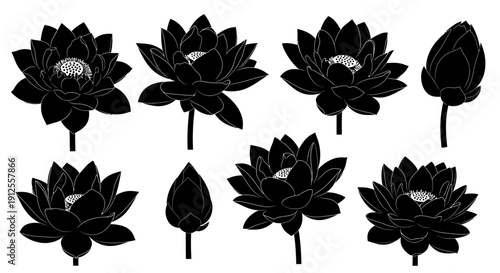 Set of black and white lotus flower silhouettes in various stages of bloom, isolated on a white background, ideal for design elements.