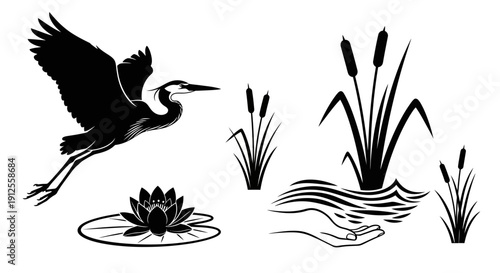 Black and white vector illustration of a heron flying over a pond with water lilies and cattails, symbolizing nature and wildlife.
