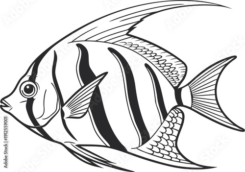 Fish set vector Ocean Creatures Set, Sea Animals Illustration