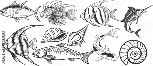 Fish set vector Ocean Creatures Set, Sea Animals Illustration