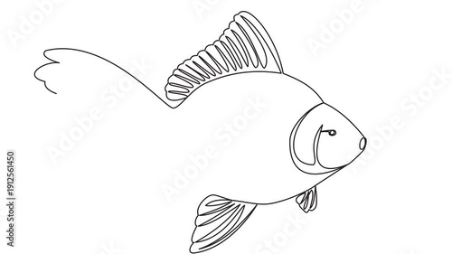 Animated self drawing of continuous one line draw wild Fish swimming in sea life, Whale draw by one continuous black line on transparent background with alpha channel, Full length single line.