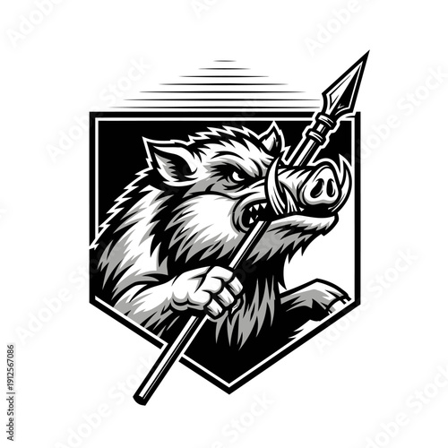 A fierce wild boar holding a spear in its mouth and hand, illustrated in a shield emblem vector graphic design