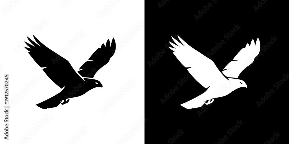 Fototapeta premium Bird Silhouette Flying High in Air.