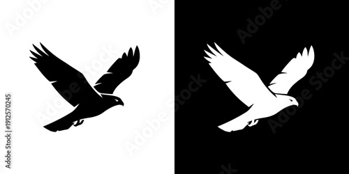 Bird Silhouette Flying High in Air.