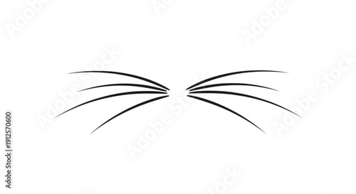 Cat Whiskers Isolated on White Background
