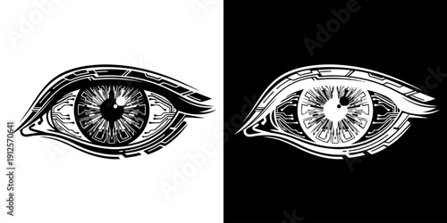 Detailed Human Eye Illustration in Black and White.