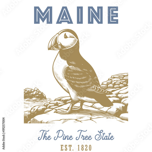 Vintage Maine travel poster with Atlantic puffin on rocky coast, styled in classic line art. Retro vector illustration