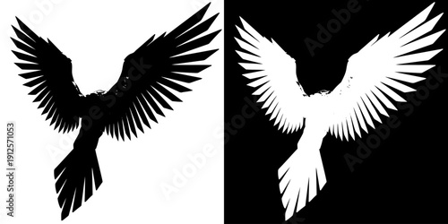 Black and White Silhouette of Eagle Flying.