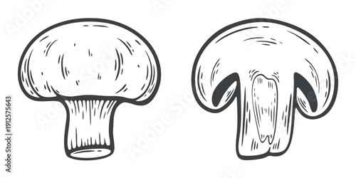 Two champignon mushrooms, one sliced, other whole, a white button, cremini, engraving isolated