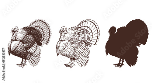 Three different representations of a turkey bird.