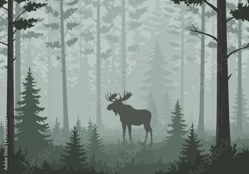 A majestic moose stands amidst a serene forest landscape surrounded by tall trees and fog