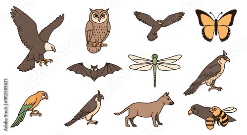 A comprehensive collection of vector bird colour silhouettes featuring black eagles, ducks, and pigeons in flight for nature and wildlife design illustrations