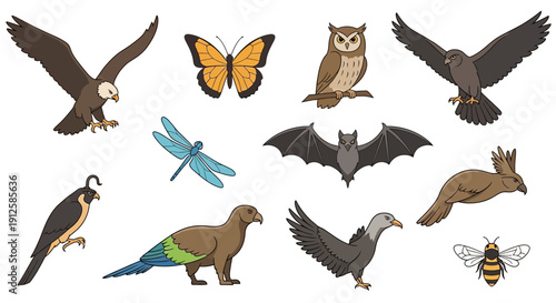 A comprehensive collection of vector bird colour silhouettes featuring black eagles, ducks, and pigeons in flight for nature and wildlife design illustrations