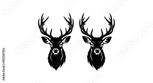 Two Majestic Stag Heads with Antlers.