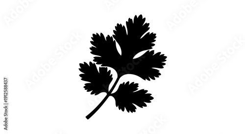 A simple black silhouette of a parsley sprig on a white background.