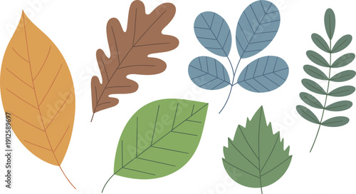 Colorful collection of various flat vector leaves including oak and maple in autumn orange, brown, and green colors for seasonal nature and environment design projects.