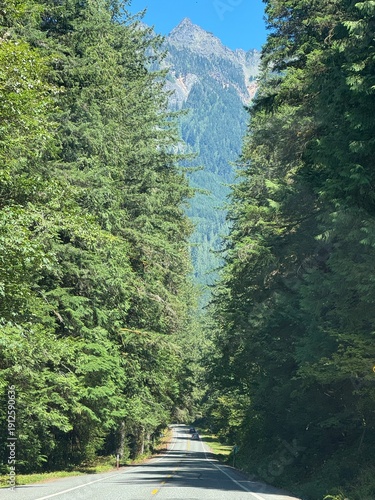 Winding forest road leading towards jagged mountain peaks near Mt. Baker, North Cascades National Park.