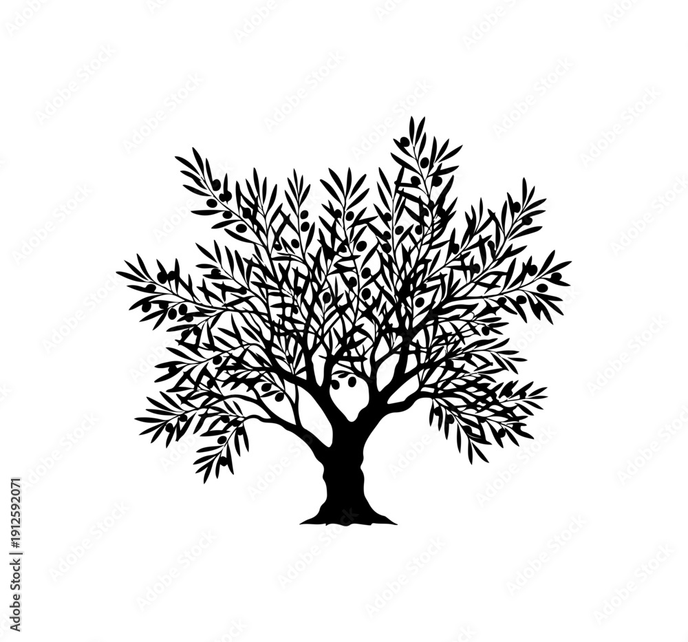Fototapeta premium Olive Tree Vector Illustration