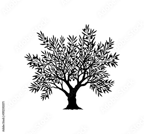 Olive Tree Vector Illustration