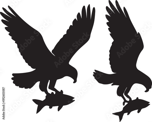 Set of osprey as a fishing raptor icon silhouettes vector