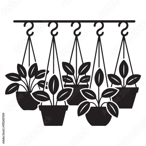 Hanging potted plants on hooks, collection of indoor foliage in various containers, decorative flora